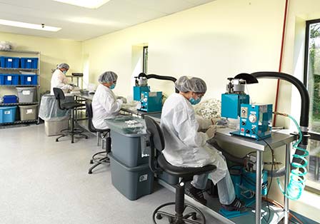 Medical Injection Molding