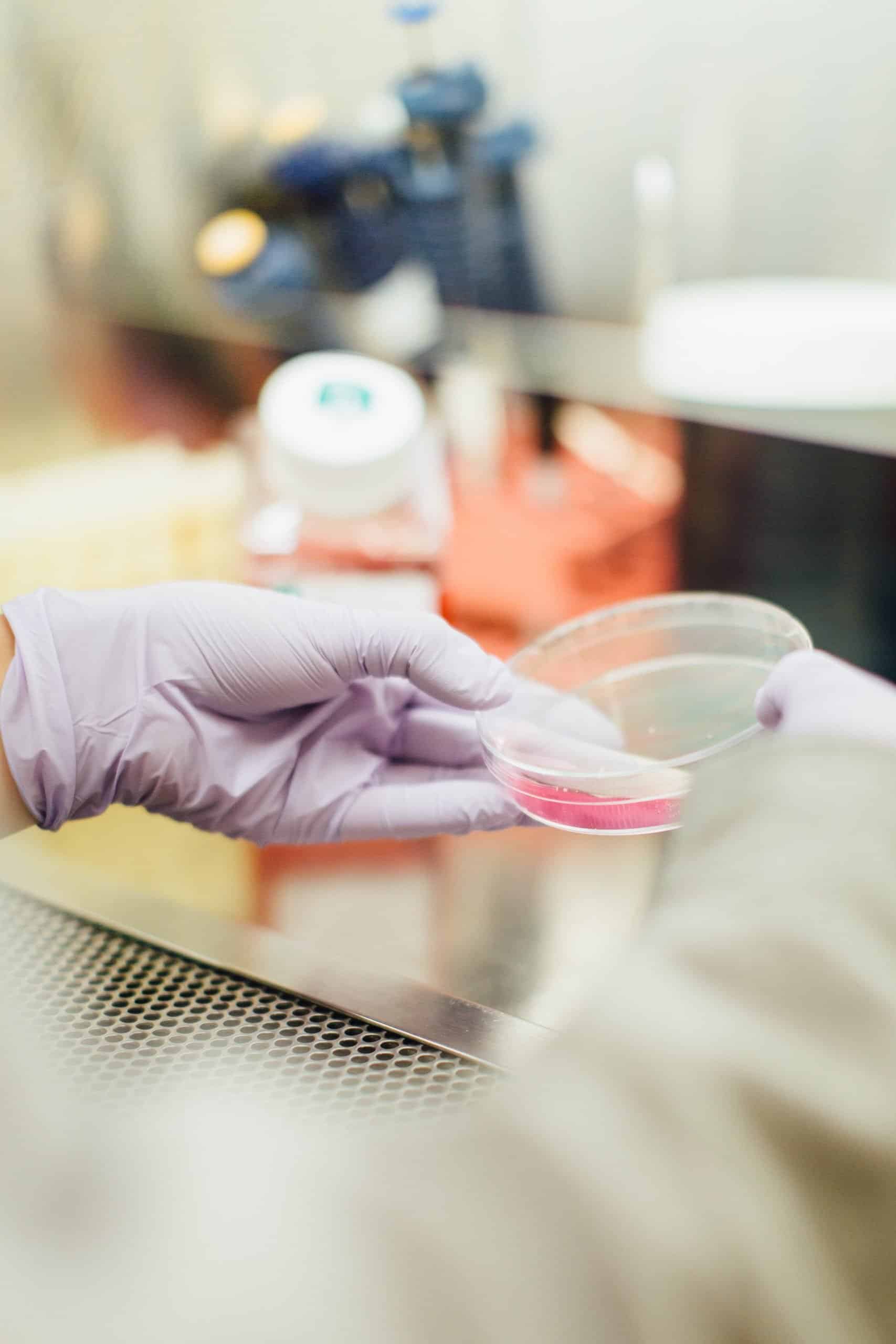 lab with petri dish