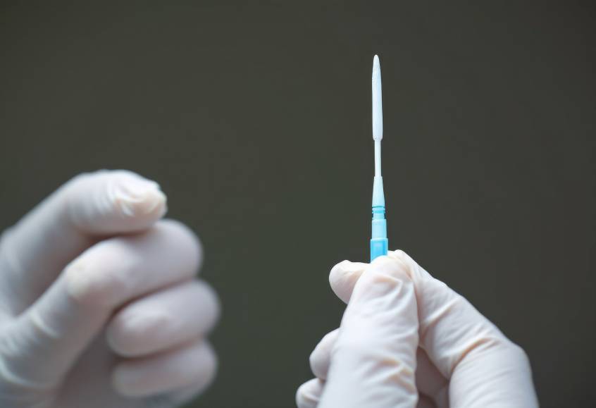 Gloved hands holding a sterile medical swab used for diagnostic sample collection.